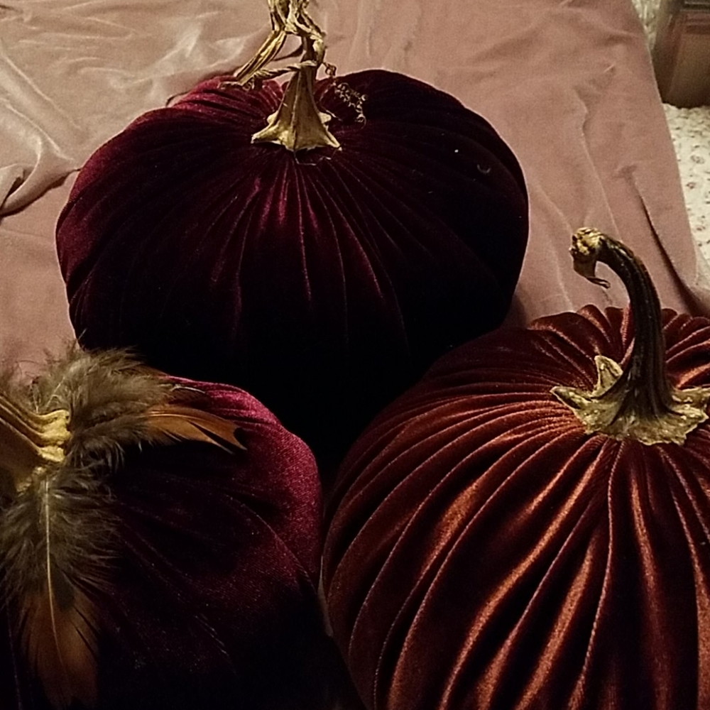 Beautiful Velvet Pumpkins